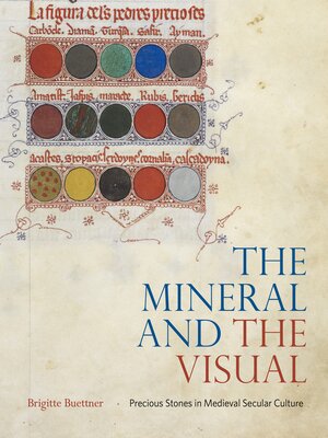 cover image of The Mineral and the Visual